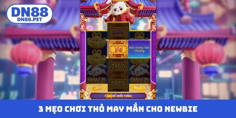 3 mẹo chơi thỏ may mắn xanh chín cho newbie