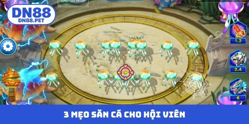 3 mẹo săn cá tuyệt cú mèo cho hội viên