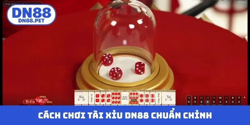 Cách chơi tài xỉu DN88 chuẩn không cần chỉnh