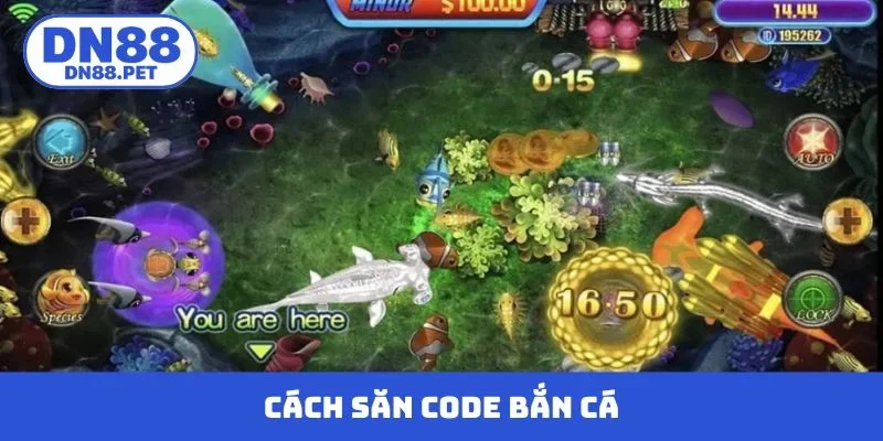 Code bắn cá