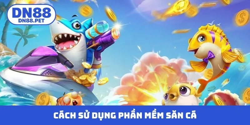 Cách sử dụng phần mềm săn cá chuẩn không cần chỉnh