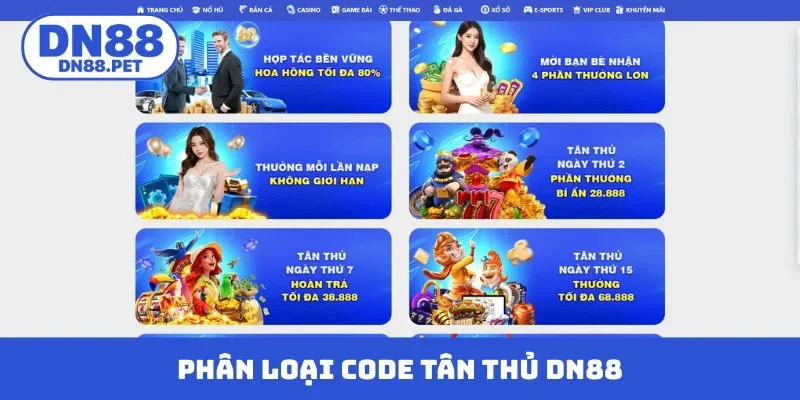Phân loại code tân thủ DN88