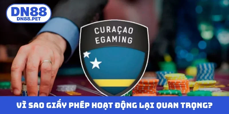 Vì sao giấy phép hoạt động lại quan trọng đến thế?